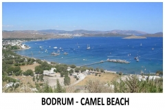 Camel Beach