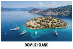 Domuz Island
